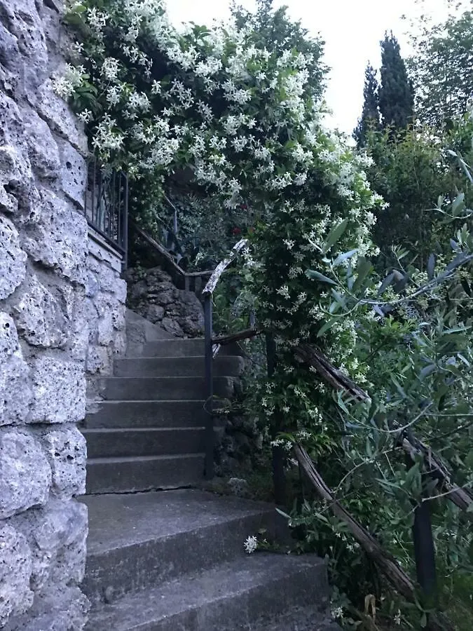 B&B Bellavista Castro  Bed & Breakfast